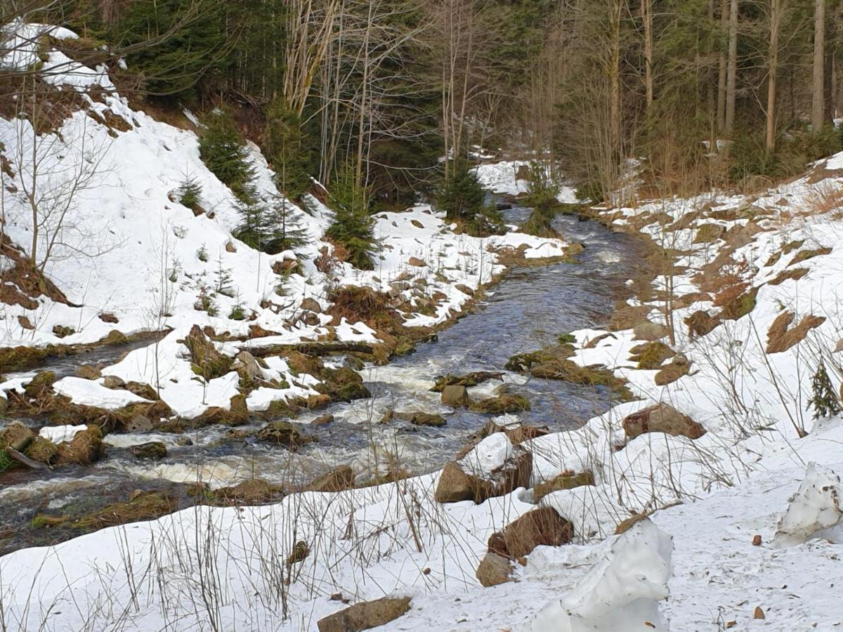 Gasthof Und Pension Hammerschaenke Wildenthal ภายนอก รูปภาพ