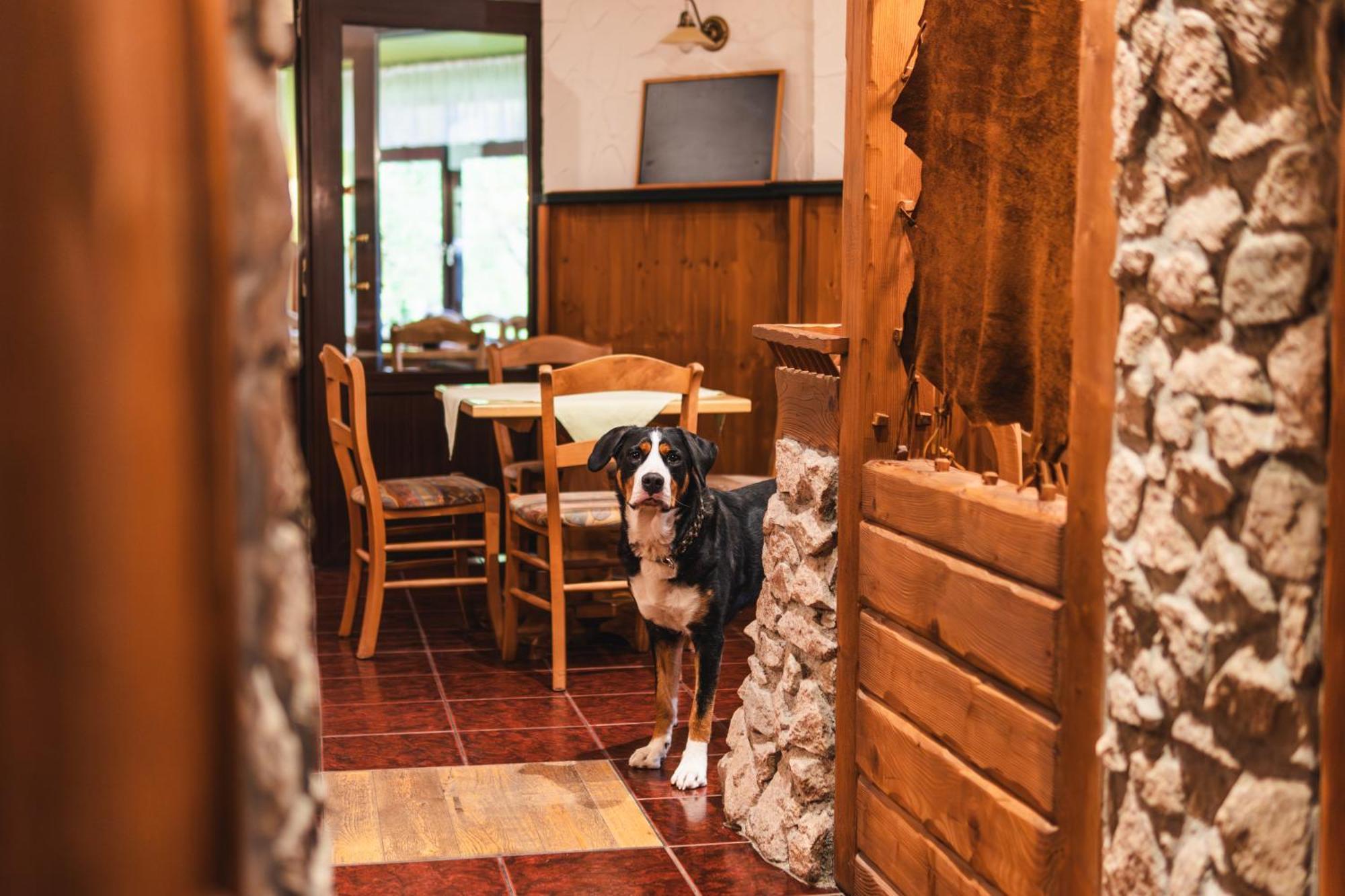Gasthof Und Pension Hammerschaenke Wildenthal ภายนอก รูปภาพ