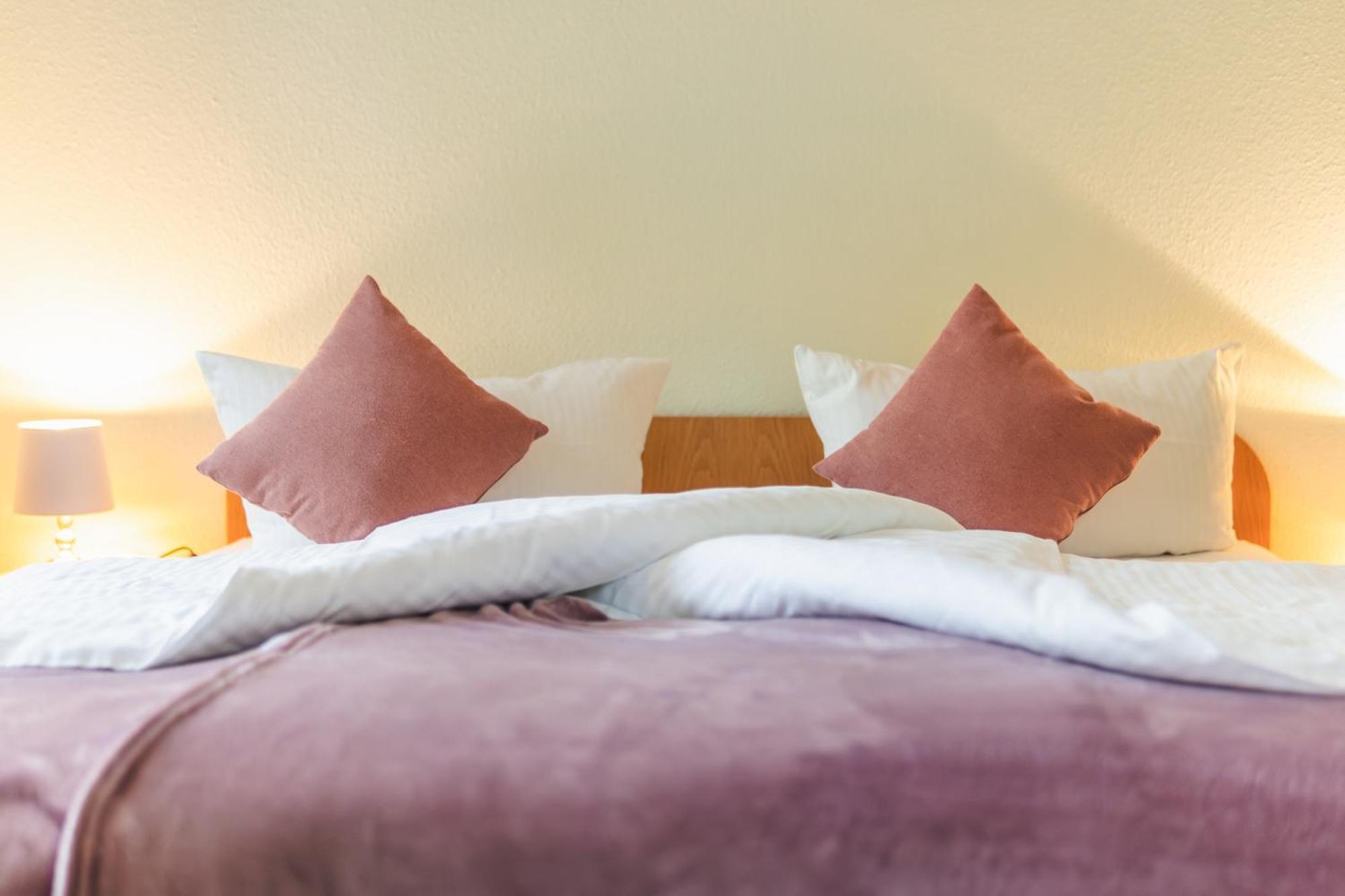 Gasthof Und Pension Hammerschaenke Wildenthal ห้อง รูปภาพ